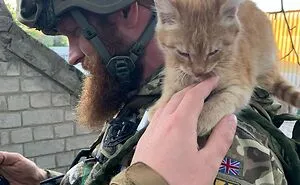 50 Photos Of Cats And Dogs Rescued By Ukrainian Soldiers, Shared By This Instagram Account
