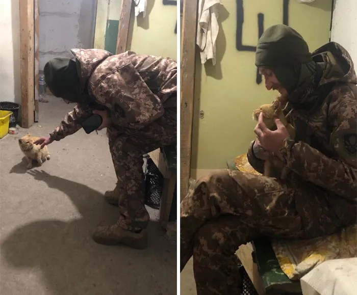 50 Photos Of Cats And Dogs Rescued By Ukrainian Soldiers, Shared By This Instagram Account
