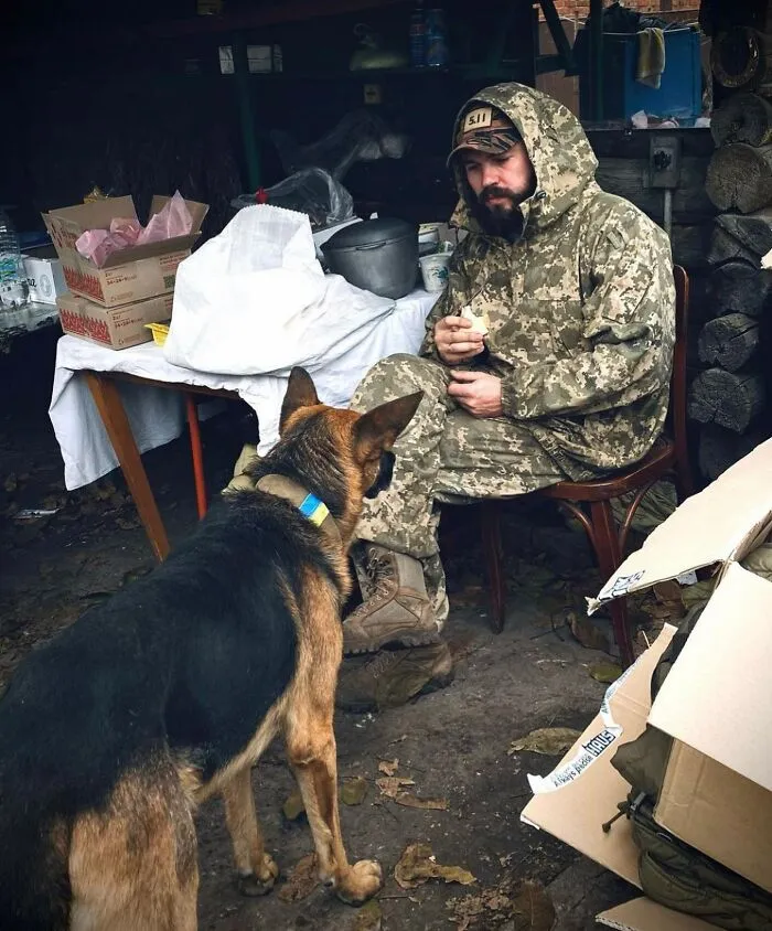 50 Photos Of Cats And Dogs Rescued By Ukrainian Soldiers, Shared By This Instagram Account