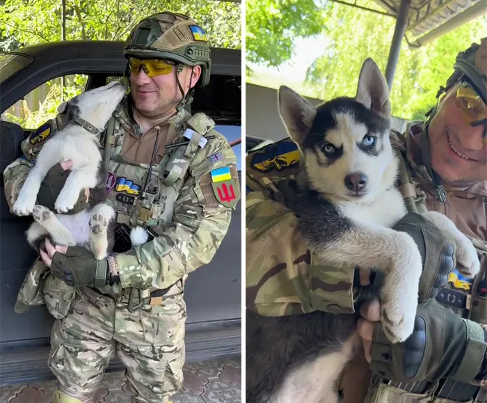 50 Photos Of Cats And Dogs Rescued By Ukrainian Soldiers, Shared By This Instagram Account