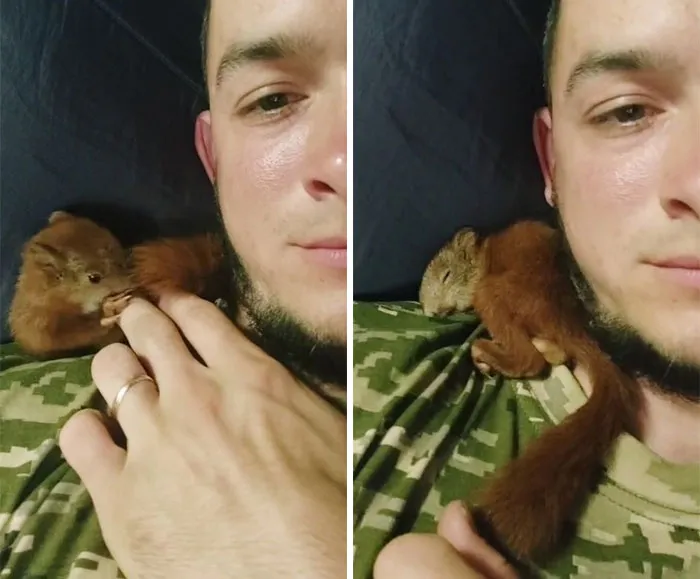 50 Photos Of Cats And Dogs Rescued By Ukrainian Soldiers, Shared By This Instagram Account