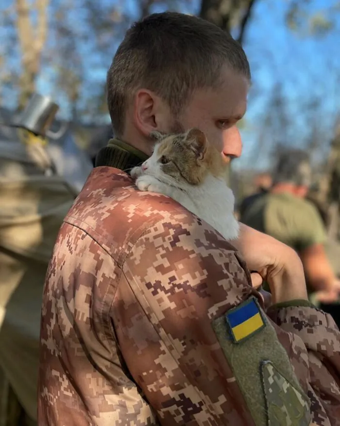 50 Photos Of Cats And Dogs Rescued By Ukrainian Soldiers, Shared By This Instagram Account