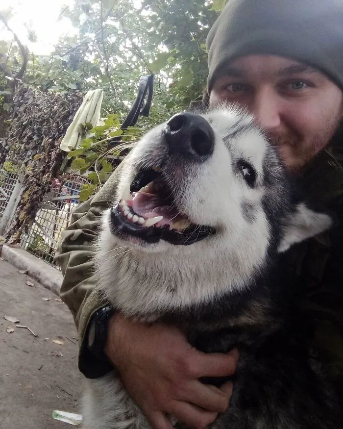50 Photos Of Cats And Dogs Rescued By Ukrainian Soldiers, Shared By This Instagram Account