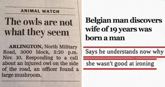 50 Fun Headlines From Local News That Are Unhinged And Bizarre