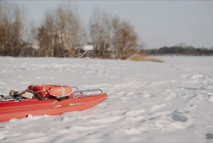 Go Sledding