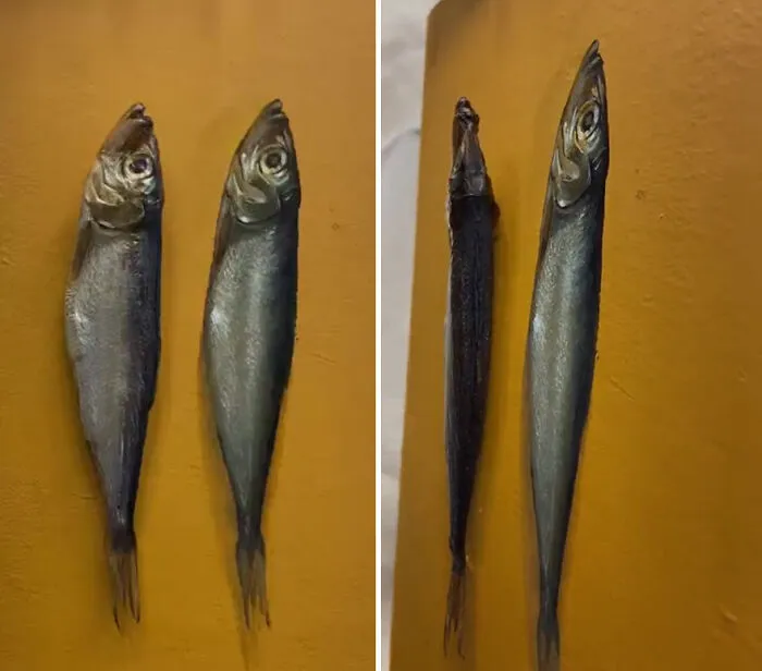 Little Fish