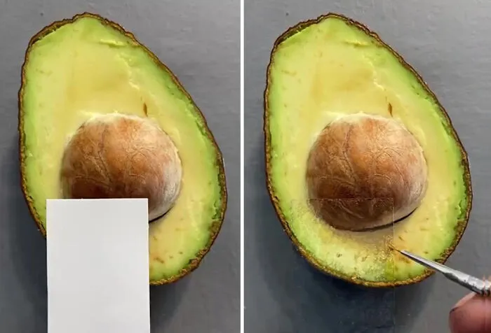 Avocado