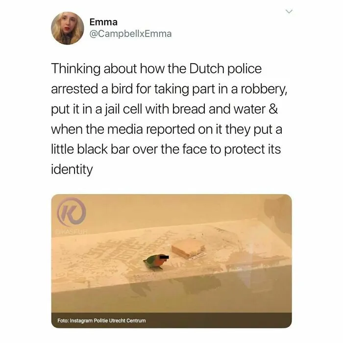 50 Funny And Chaotic Tweets And Pics Shared By This Instagram Account