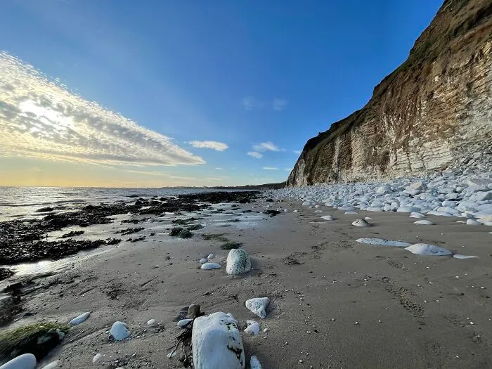 Yorkshire Coast, U.k