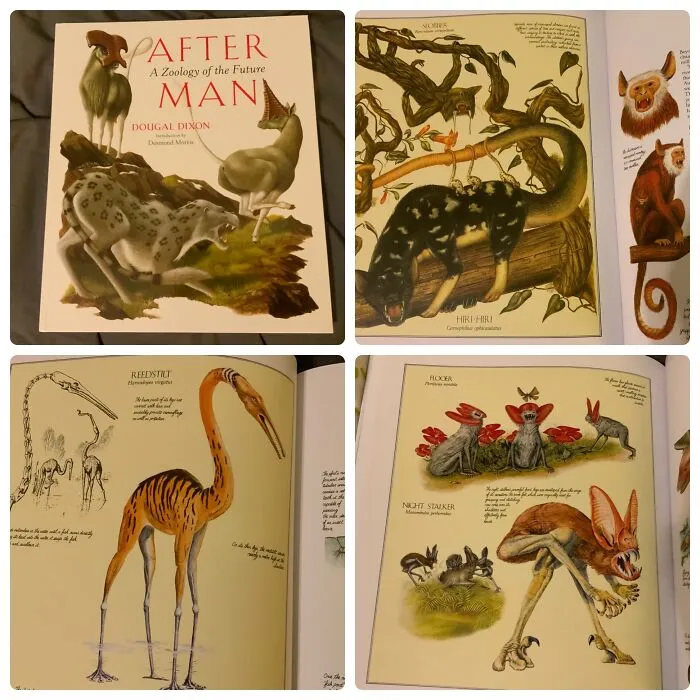 After Man: A Zoology Of The Future. It Has The Weirdest, Creepiest Fantasy Creature Art I’ve Ever Seen 😳