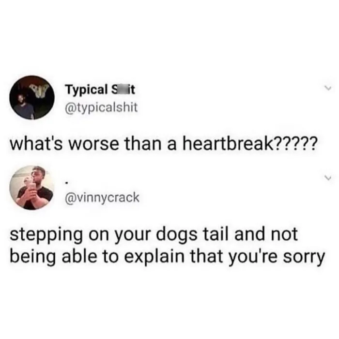 50 Funny And Chaotic Tweets And Pics Shared By This Instagram Account