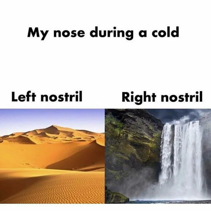 50 Funny And Chaotic Tweets And Pics Shared By This Instagram Account