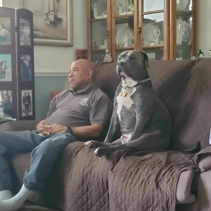 Like Father, Like Son