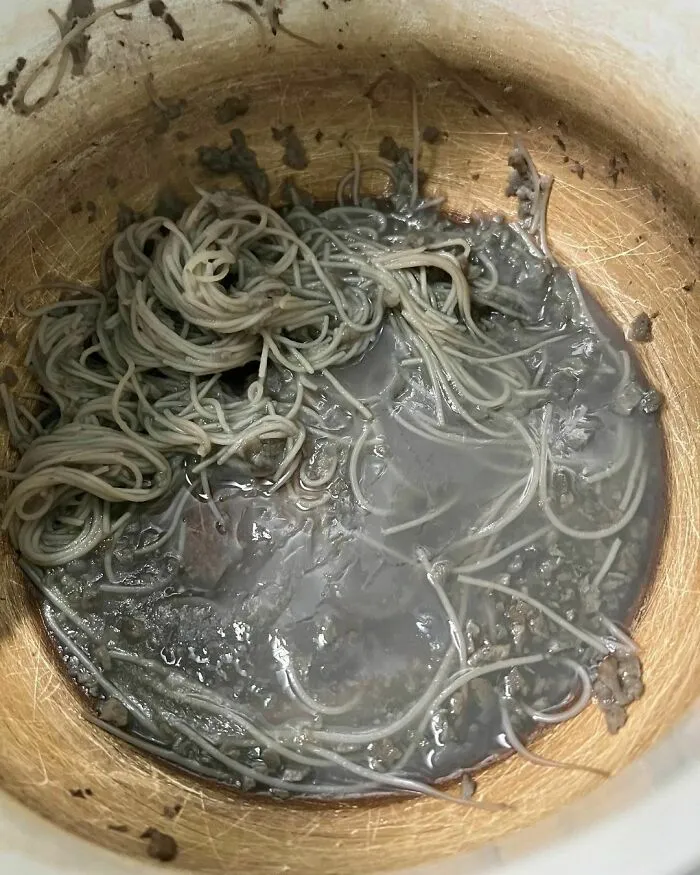 Tuve que dejarlo todo para publicar la cena de mi novia