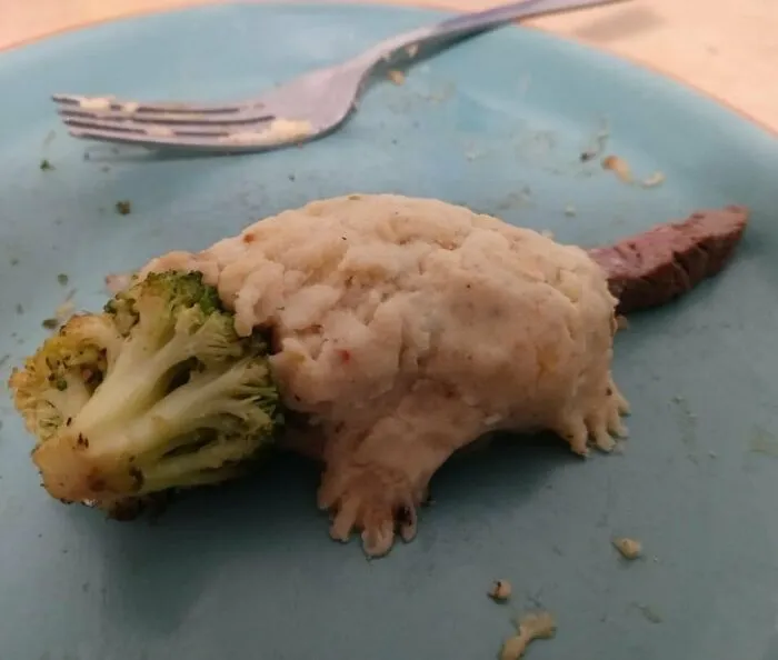 Zarigüeyalimento
