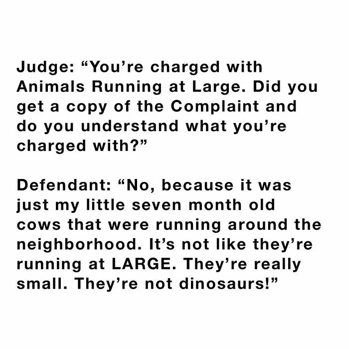 40 Of The Funniest Things People Overheard In Courthouses, As Shared On This Instagram Page (New Posts)