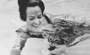 Vintage Hollywood Pictures That Showcase A Nostalgic Bit Of History (30 New Pics)