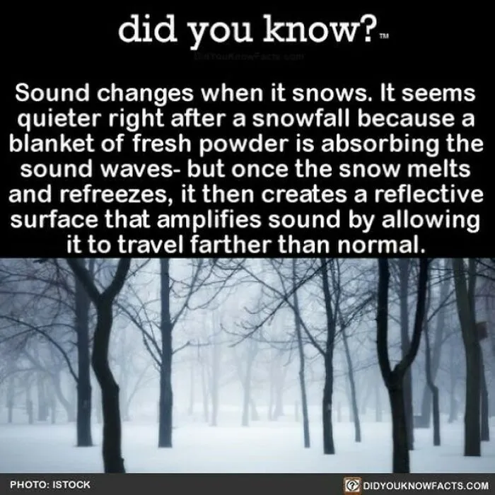 “Did You Know?”: 50 Random Facts About Our World To Let You Learn Something New Today