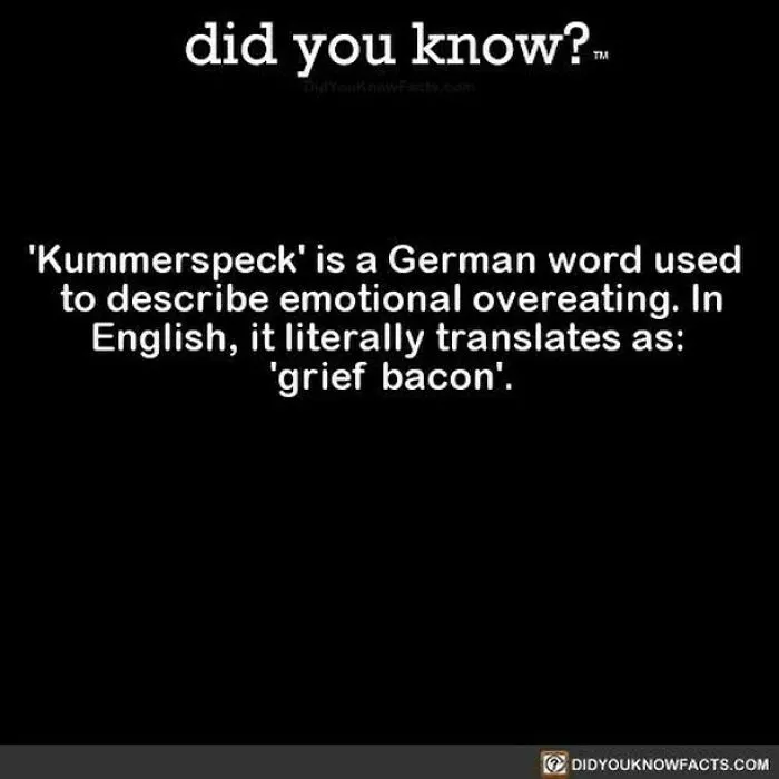 “Did You Know?”: 50 Random Facts About Our World To Let You Learn Something New Today