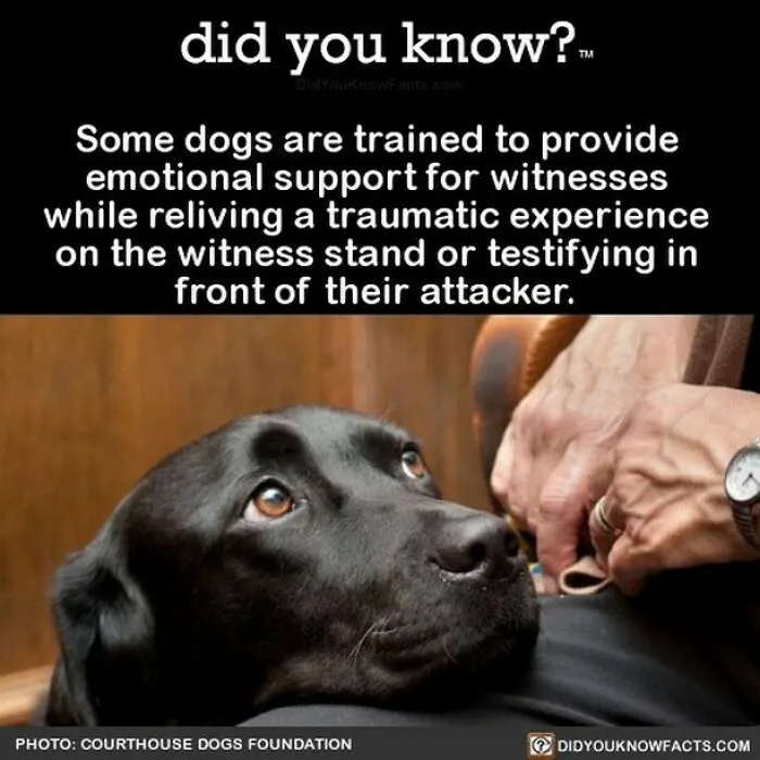 Learn-New-Facts-Did-You-Know
