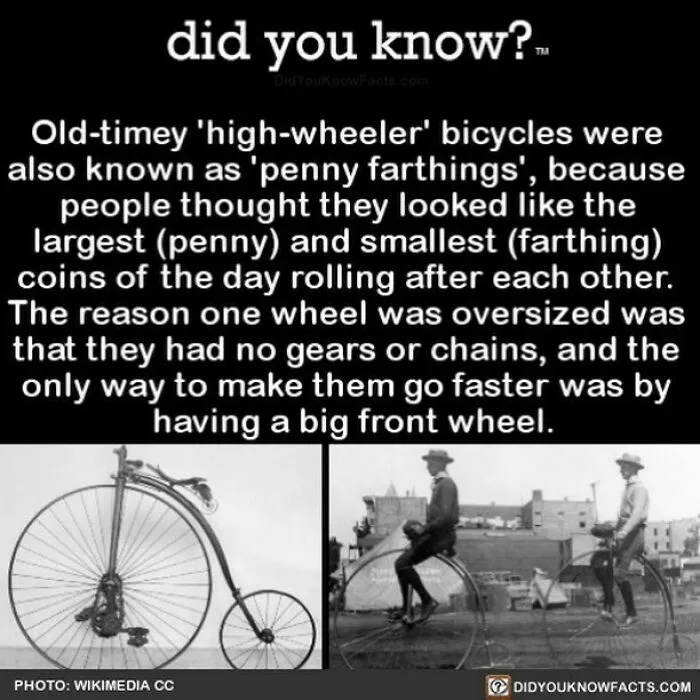 “Did You Know?”: 50 Random Facts About Our World To Let You Learn Something New Today