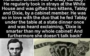 “Did You Know?”: 50 Random Facts About Our World To Let You Learn Something New Today
