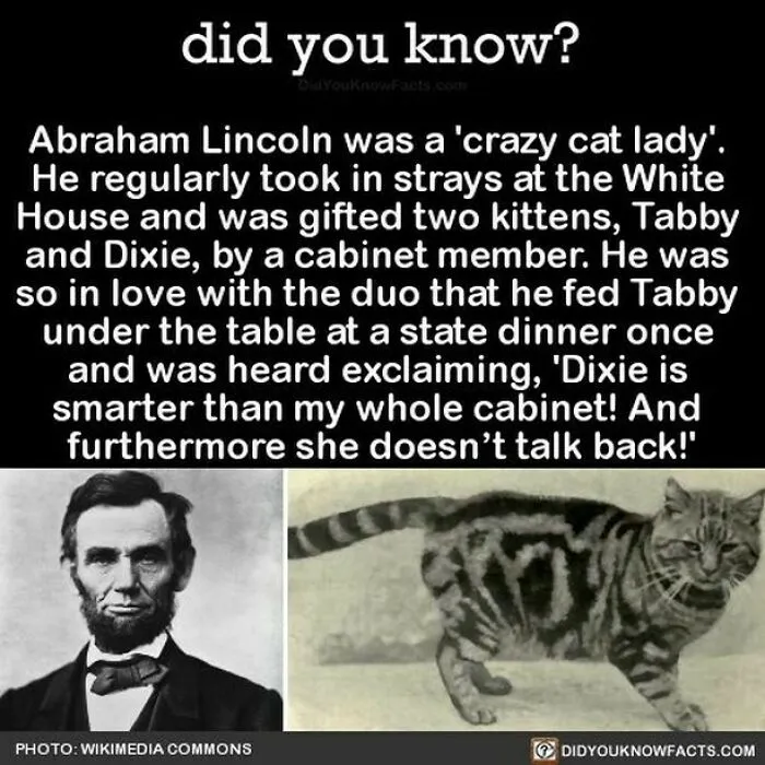 Learn-New-Facts-Did-You-Know