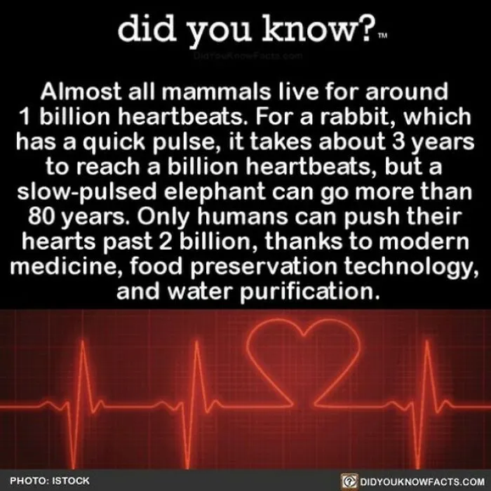 “Did You Know?”: 50 Random Facts About Our World To Let You Learn Something New Today