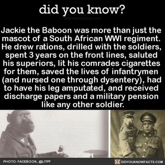 “Did You Know?”: 50 Random Facts About Our World To Let You Learn Something New Today