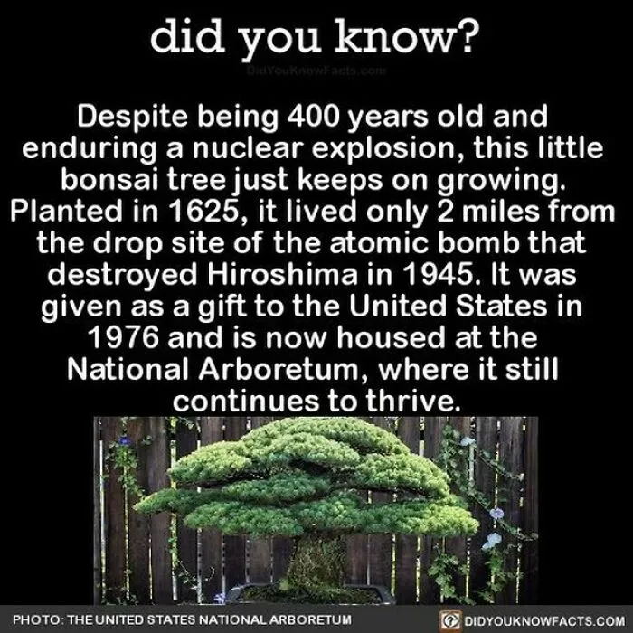 “Did You Know?”: 50 Random Facts About Our World To Let You Learn Something New Today