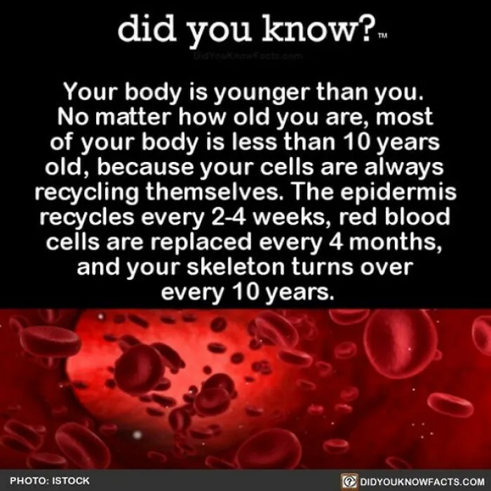 “Did You Know?”: 50 Random Facts About Our World To Let You Learn Something New Today