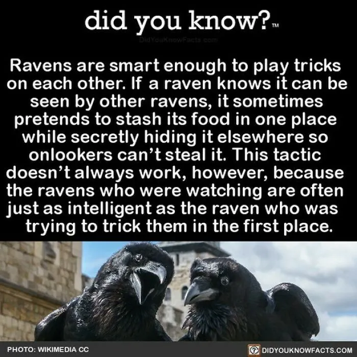 “Did You Know?”: 50 Random Facts About Our World To Let You Learn Something New Today