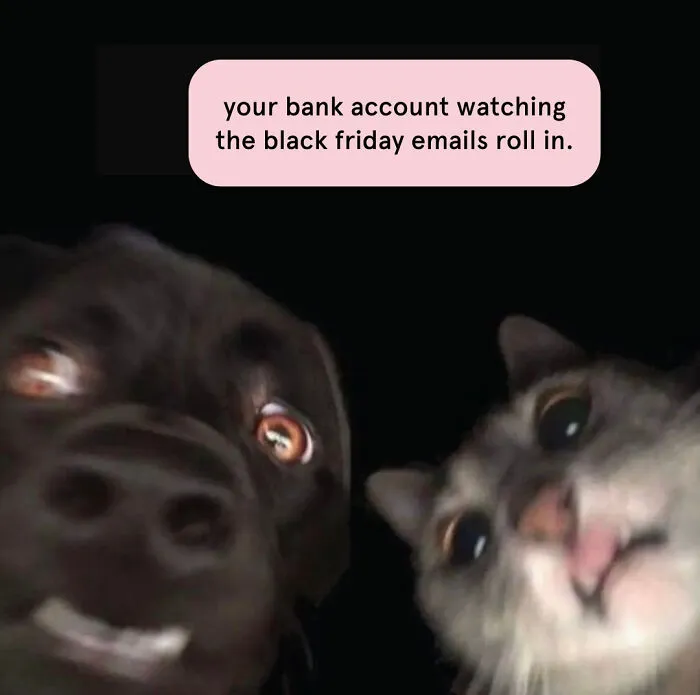 Black Friday Memes Special Offer For The Best Laughs