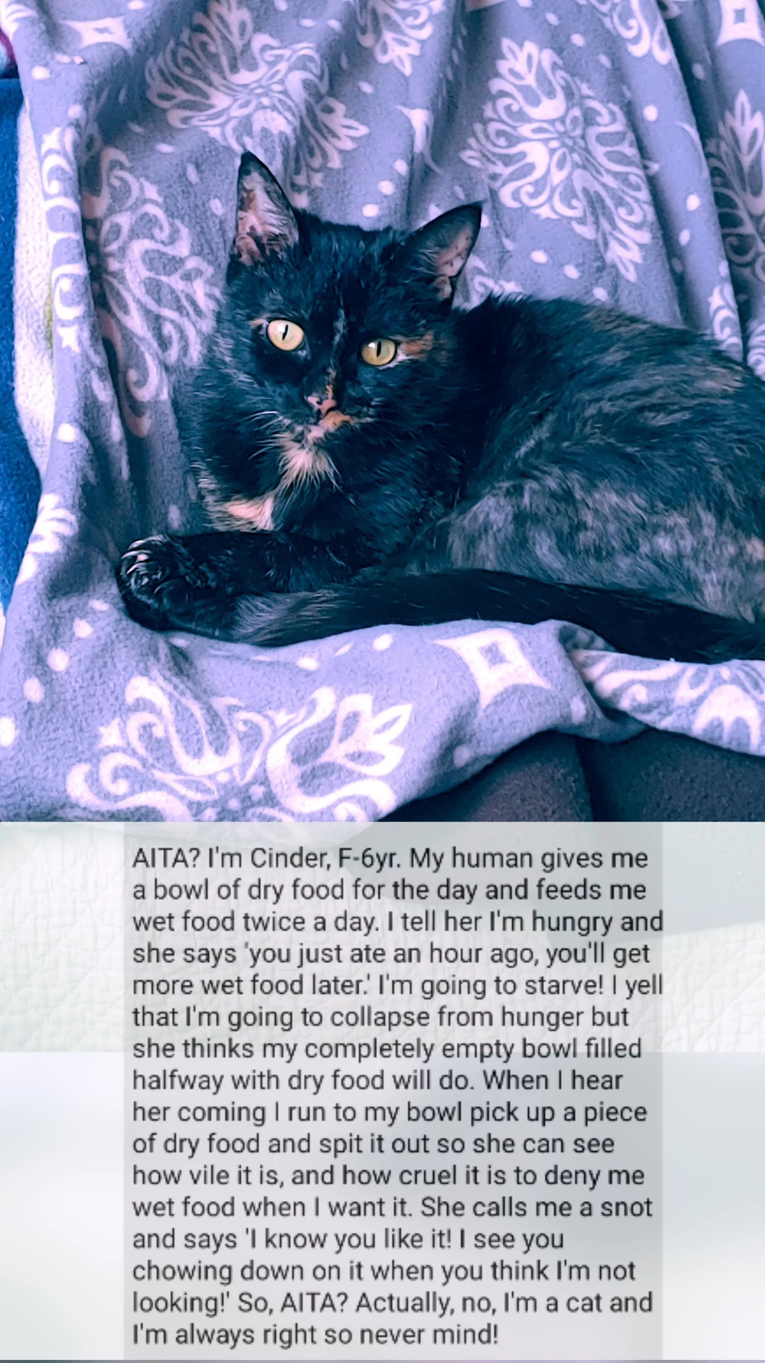 Create An 'Aita' Post For Your Pet