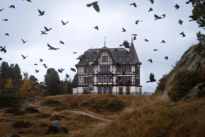 This Scene Looked Something Like Hitchcock's Alpine Retreat