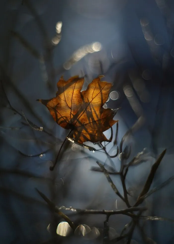 Nature In Spring, Summer, And Autumn: My 35 Photos By Me