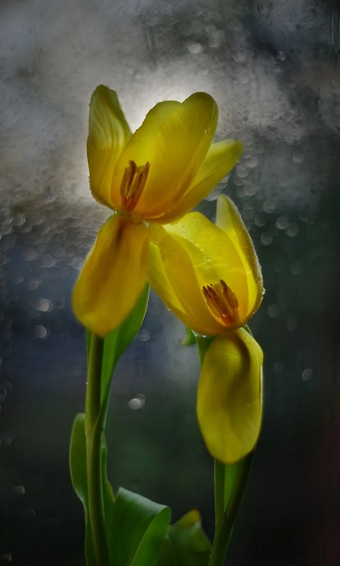 Nature In Spring, Summer, And Autumn: My 35 Photos By Me
