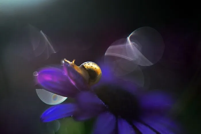 Nature In Spring, Summer, And Autumn: My 35 Photos By Me