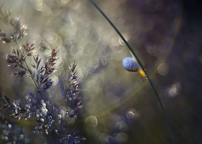 Nature In Spring, Summer, And Autumn: My 35 Photos By Me