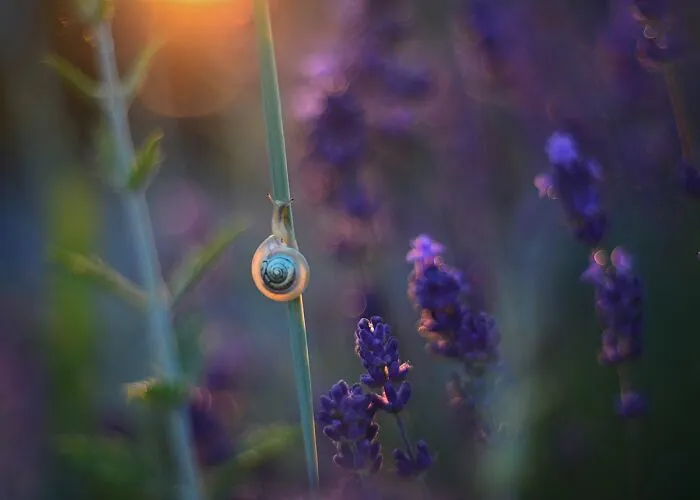 Nature In Spring, Summer, And Autumn: My 35 Photos By Me