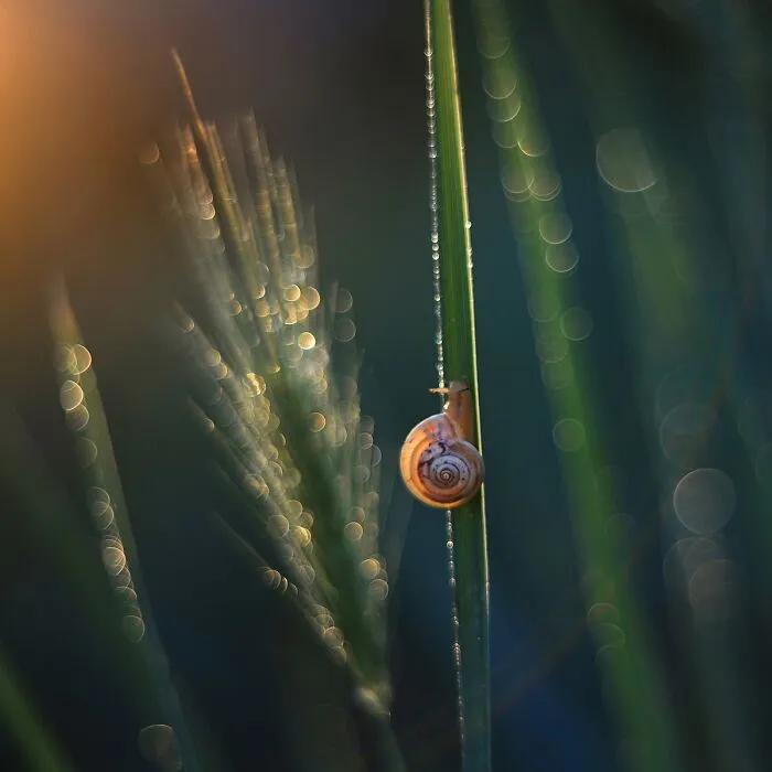 Nature In Spring, Summer, And Autumn: My 35 Photos By Me