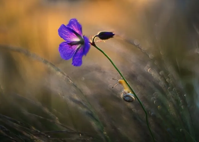 Nature In Spring, Summer, And Autumn: My 35 Photos By Me