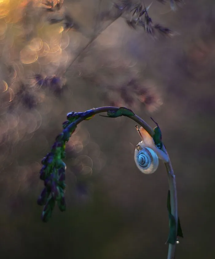 Nature In Spring, Summer, And Autumn: My 35 Photos By Me