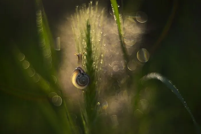 Nature In Spring, Summer, And Autumn: My 35 Photos By Me