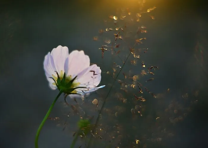 Nature In Spring, Summer, And Autumn: My 35 Photos By Me