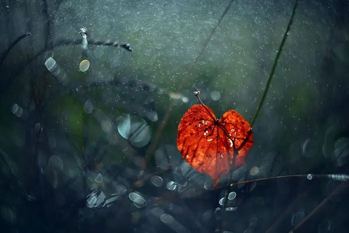Nature In Spring, Summer, And Autumn: My 35 Photos By Me