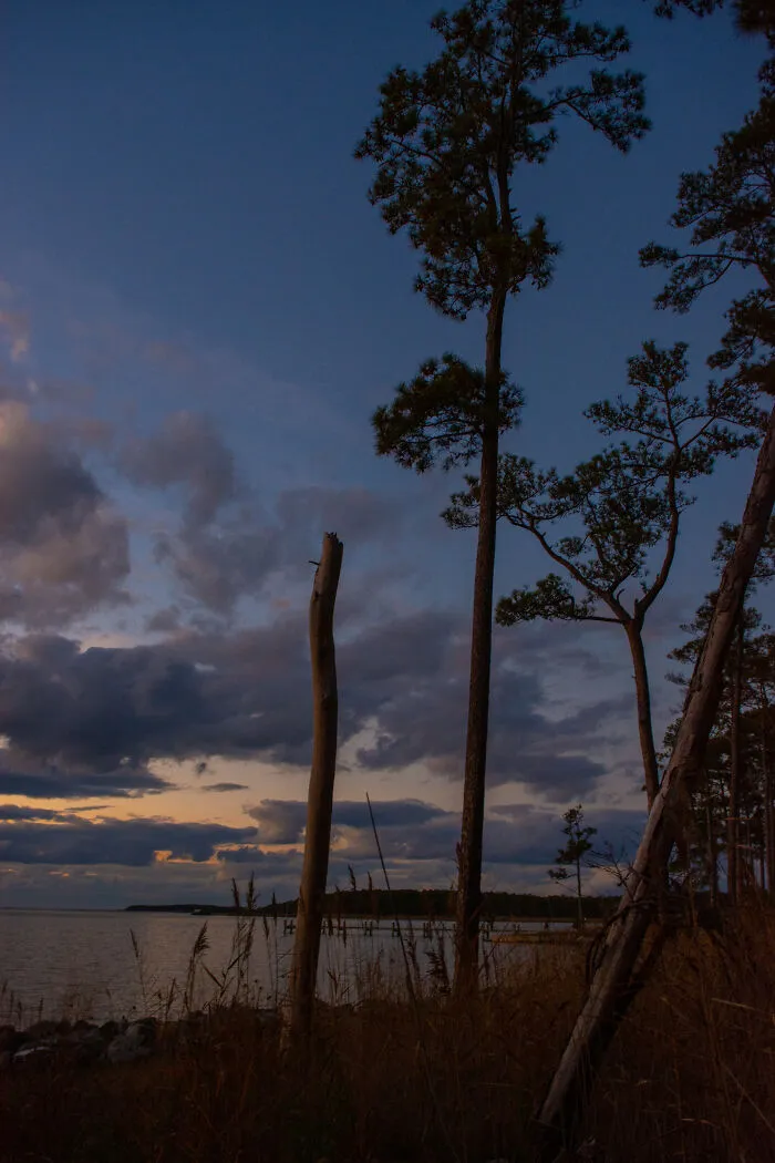 Sunset On The Eastern Shore Of Maryland