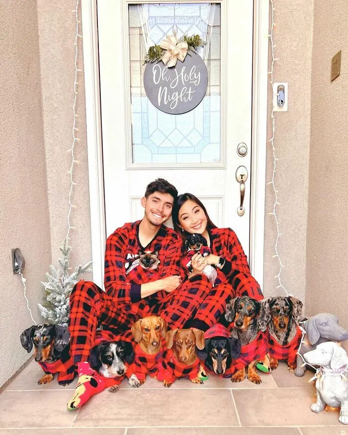 Woman Shares Her Life With 8 Rescue Dachshunds, And Here Are 25 Of The Funniest Pictures Of Them