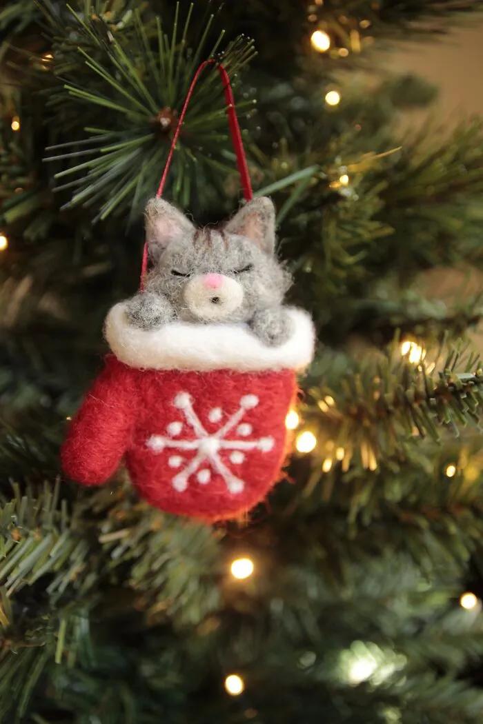 Kitten In A Mitten