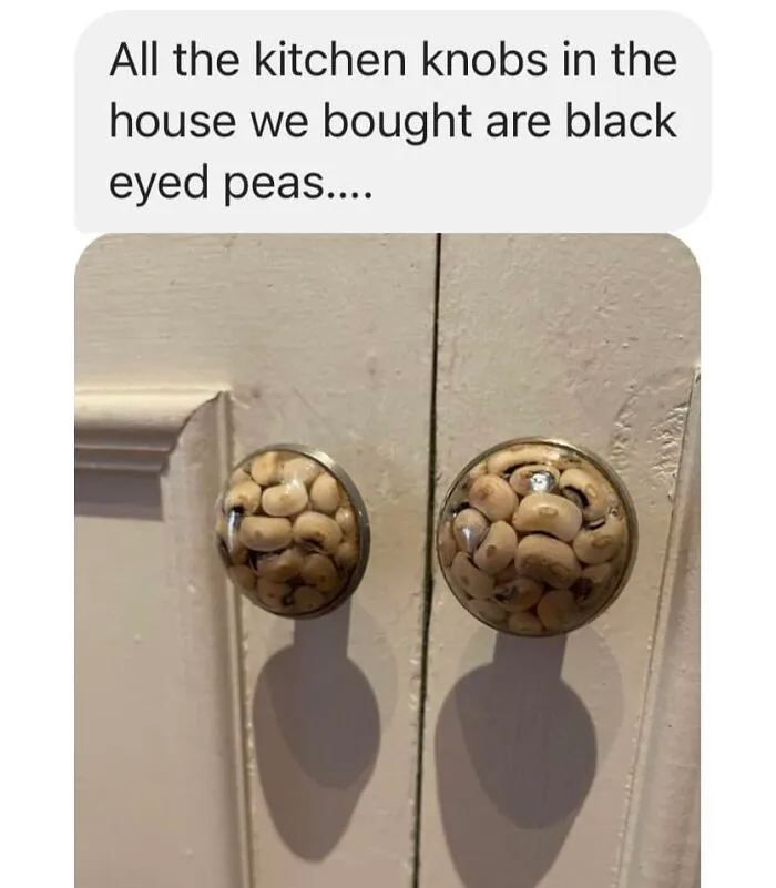 40 Times People Spotted Food In Places It Shouldn't Be And Just Had To Share Pics In This Online Group